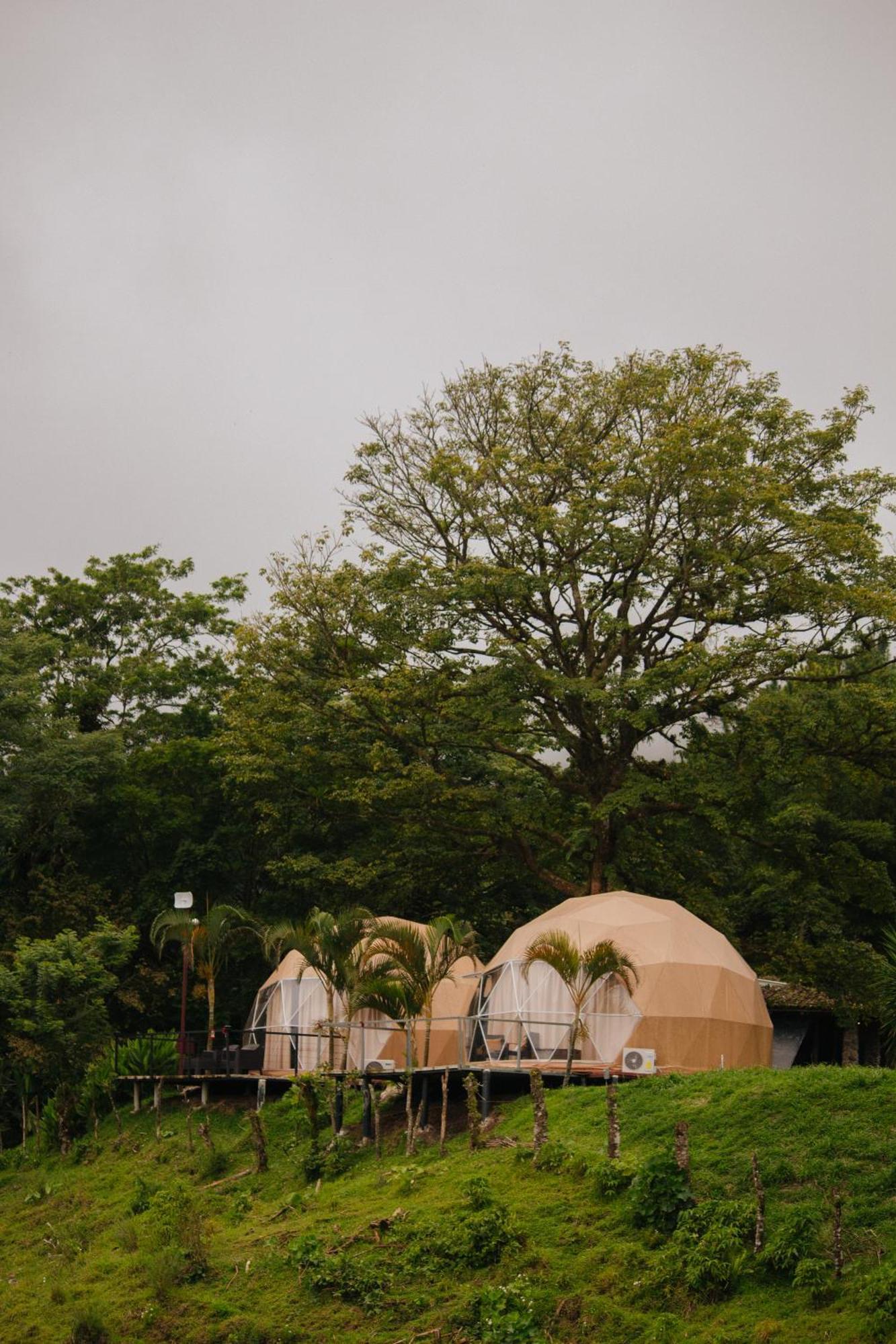 Готель Pura Vista Glamping El Castillo Екстер'єр фото